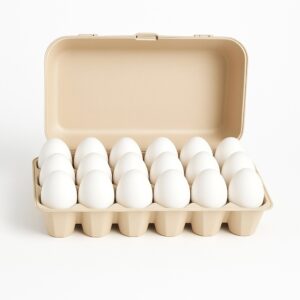 PHOTO-2025-08-23-17-23-08